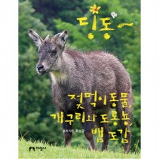 딩동~ 젖먹이동물 개구리와 도롱뇽 뱀 도감, 없음