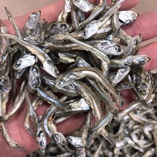 신건호멸치 안주/조림용 고바멸치(상급) / 고추장멸치 볶음멸치, 1kg, 1개