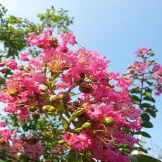 ba5f4e0f43f8f435fa01dd500fcfbc8dff6388fa2de2909a1bc0c8cad42b.jpg