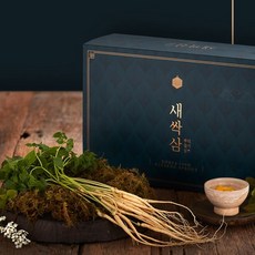 더조은 담양 새싹삼 고급선물세트 30뿌리 15 17cm내외 중, 1개