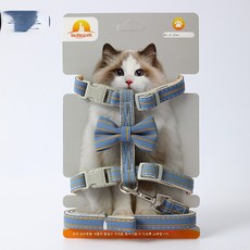 줄무늬나비넥타이