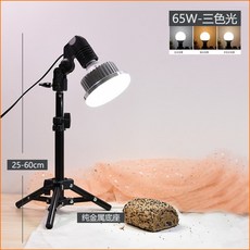 포토전자파스티커