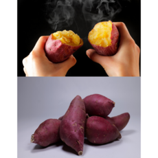 24년수확 황토 햇 꿀 밤고구마 3kg 5kg 10kg, 1개, 못난이5kg(90g-300g)