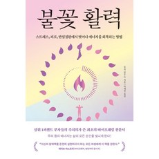 불꽃 활력- 스트레스 피로 만성질환에서 벗어나 에너지를 회복하는 방법