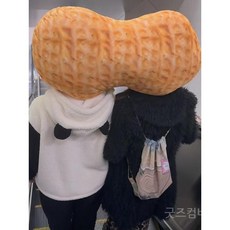 굿즈컴바인 스토어 연인과 함께 사용하는 따뜻한 땅콩모자 요상한 선물 킹받는 선물, 커플 땅콩 모자 1+1세트