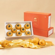 과일꾼 산지직송 나주배 ( 가정용 / 과일선물세트), 선물용 5kg 8과내, 1박스
