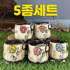 도향수제화분
 다육맘 수제화분 다육화분 도향#306 5종세트
