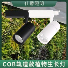 햇빛아래식물등