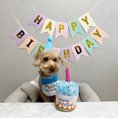 설드독 강아지 고양이 생일 축하파티 세트 스카프 + 모자 + 케이크장난감 + 가랜드 (블루), 블루, 1개