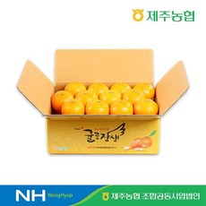제주농협 귤로장생 천혜향 4kg 소과(20-26입) -인증, 2개