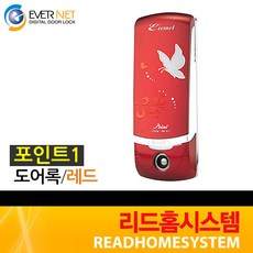 에버넷포인트2