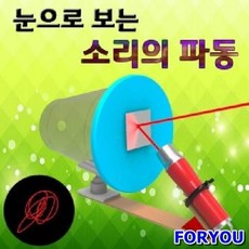 눈으로보는소리의파동