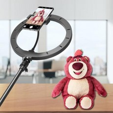 라이브방송전용휴대폰거치대 촬영 스탠드 전문 삼각대, 2. 2.1m 플로어 스탠드 + 블루투스 비디오 레코더, 1개