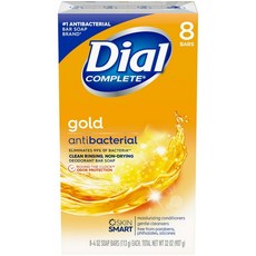 DIAL 미국 항균 다이알 골드 비누 113g x48개, 904g, 1개
