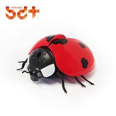 무당벌레장난감