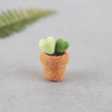 양모펠트선인장