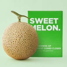 수플린 프리미엄 향긋한 고당도 메론 선물세트 1입/2입, 메론 1입 (1.6kg), 2개