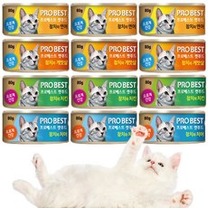 프로베스트캣캔