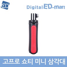 고프로10대여