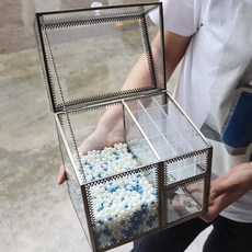 미커버리파우더