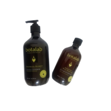 인셀덤 보타랩 데저티콜라 샴푸500ml / 트리트먼트 300ml / (옵션 선택), 트리트먼트300ml x 1