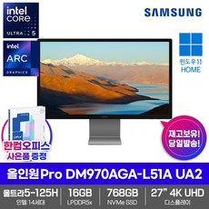 삼성 올인원 PRO DM970AGA-L51A UA2 SSD768GB 16GB램 인텔 울트라5 125H Win11Home 27형 4K UHD 일체형 PC, 16GB