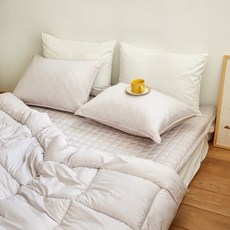 모던하우스콜렌더