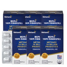 메타버스빌드잇