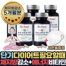 내장지방분해차