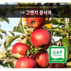 80e1302674e928772adadbabe36c7caab9217efacfee4aec706a864f0f5e.png