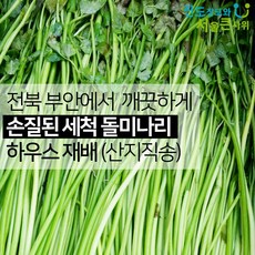 청도미나리