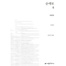 소설순애보