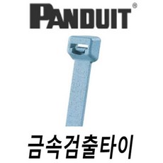 팬듀이트