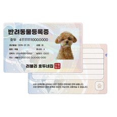 강아지민증