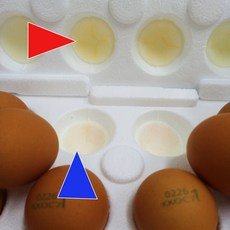 [난각번호 1번] 동물복지 자연방사 20구 30구 깨짐방지 스트로폼+스폰지 2중 포장 HACCP 무항생제 자유방목 유정란 계란 달걀