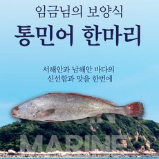 자연미가 국내산 통민어 한마리 (50cm이상 손질1.3kg 내외) /okjin 임금님진상 사계절 보양식, 1개