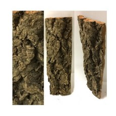 타란튤라코르크