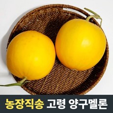 양구멜론