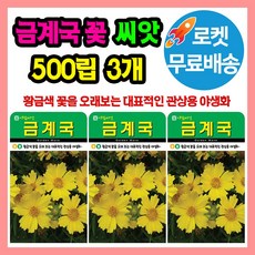 에스엔 금계국 씨앗 대표적인 관상용 야생화 꽃씨, 3개 1개