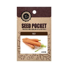 김해미나리뿌리