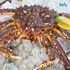 도리마켓 직수입 프리미엄 활 레드 킹크랩 수율 대박, 1개, 2.6~2.8kg