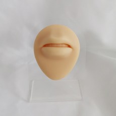 실리콘입술모형