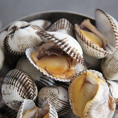 2024년 제철 벌교 여수만 새꼬막 소 1kg (kg당 120미 내외), 1개