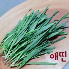 [애띤] 생새싹보리 새싹보리 보리싹 보리순 보리생즙 새싹보리즙 생보리순 생보리싹, 1개, 200g