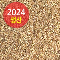 수입 호라산밀 10kg (2024년산), 1개