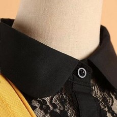 분리형칼라레이스