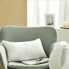 [모던하우스불광점]익스트림 구스다운필 볼륨 베개솜 화이트 30*50_/BGFP1520005BG, 1개