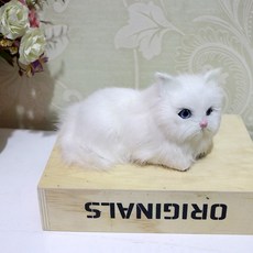 진짜 같은 고양이 인형 미니 장식 소품 카페 인테리어, AD