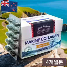 피터앤존 뉴질랜드 고함량 저분자 먹는 마린 콜라겐 250mg 120캡슐 히알루론산 아스타잔틴 피쉬 분말 가루, 단품