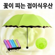 YWQ650561우산/양산/고급접이식우산/튼튼한 우산/UV차단/자외선차단/체리블라썸/양우산/우양산/무늬우산/벗꽃무늬